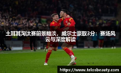 土耳其淘汰赛前景黯淡，威尔士豪取3分：赛场风云与深度解读