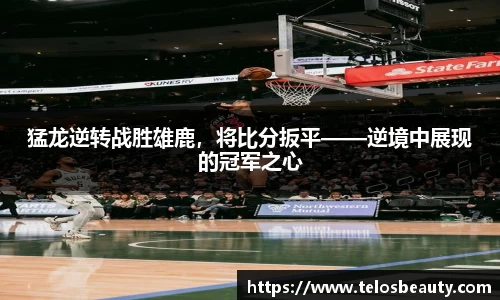盛煌娱乐