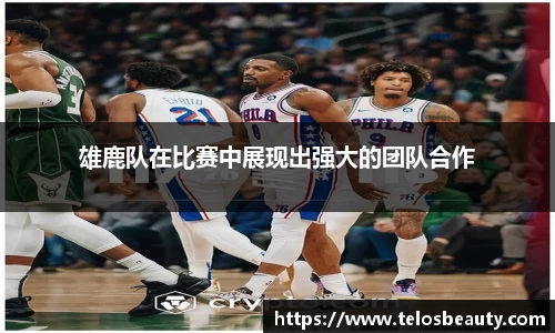 雄鹿队在比赛中展现出强大的团队合作