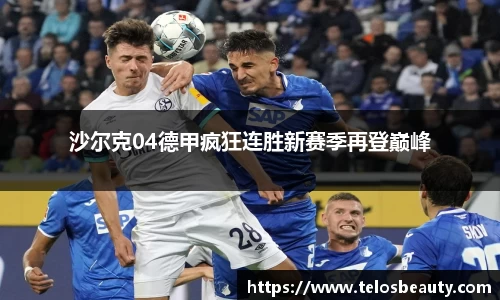 沙尔克04德甲疯狂连胜新赛季再登巅峰