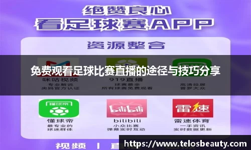 免费观看足球比赛直播的途径与技巧分享